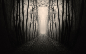 scary_path1